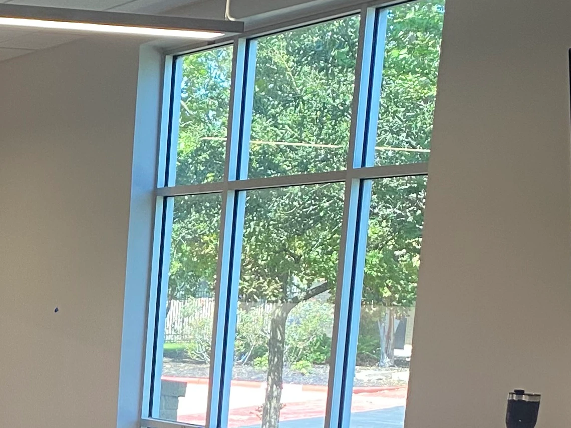 Commercial window framing with finished interior walls and trees visible outside.